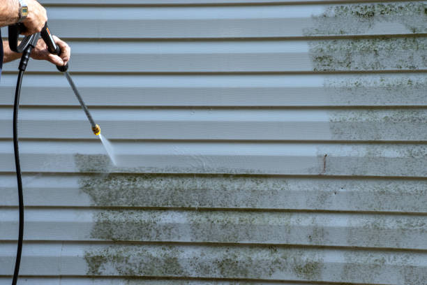 Best Weatherproofing and Sealing  in Groveton, VA